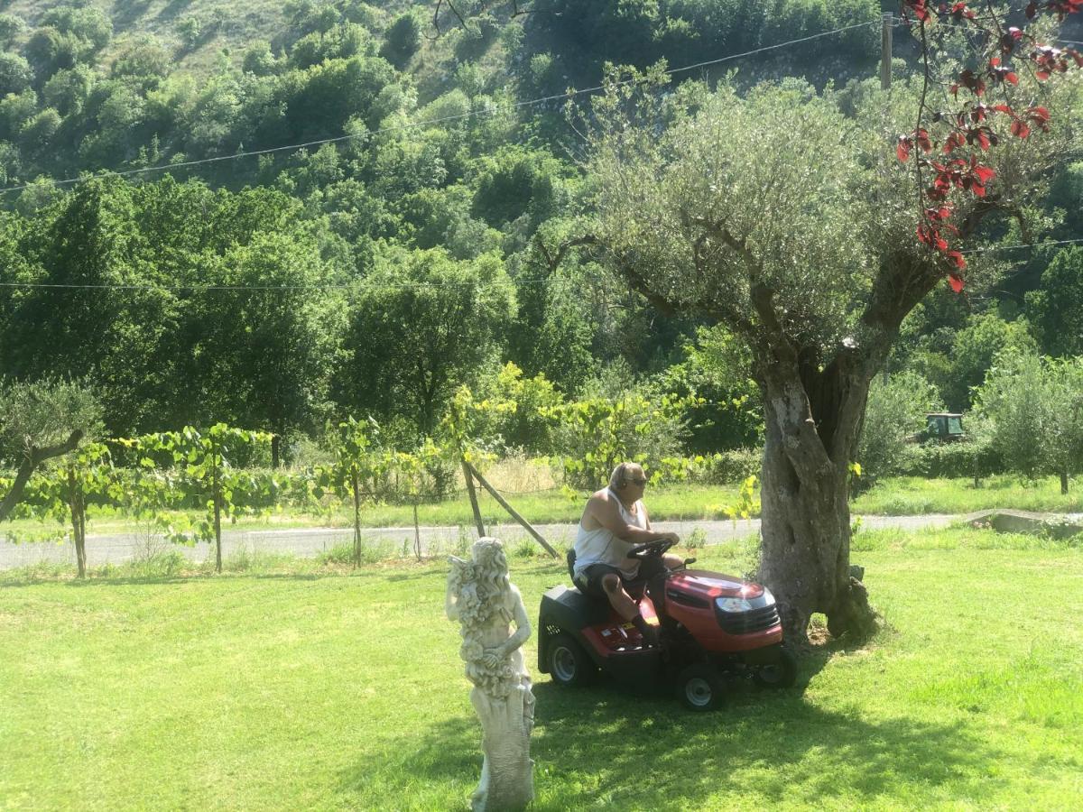 Villa Iannetta Di Monte Cassino Belmonte Castello Kültér fotó