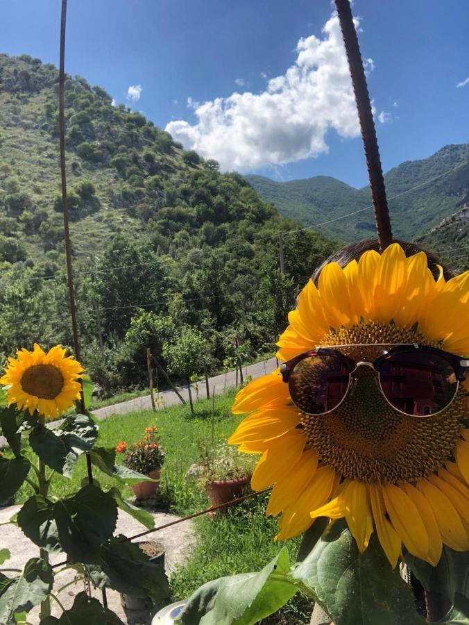 Villa Iannetta Di Monte Cassino Belmonte Castello Kültér fotó